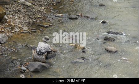 10. Februar 2022, Bogor, West-java, indonesien: Cikaniki River, Das sich in der Nähe der Minen von ANTAM, Pongkor, West Java befindet (Bildquelle: © Denny Pohan/ZUMA Press Wire) Stockfoto