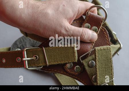 Die Hand eines Mannes hält ein Hundegeschirr auf einem grauen Hintergrund. Zugkabelbaum. Heimtiergeräte in Nahaufnahme. Selektiver Fokus. Stockfoto