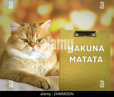 Hakuna Matata, Suaheli Satz, es bedeutet keine Sorgen. Motivierendes positives Zitat. Slogan, inspirierende optimistische Phrase und ginger serene Katze. Der Nachteil Stockfoto