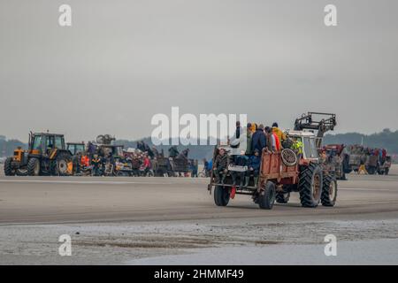 Tracteurs et remorques pêche à pied en baie de Somme Stockfoto