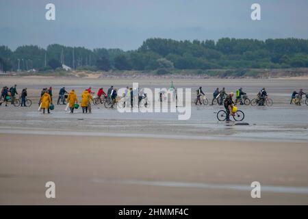 la pêche à pied professionnelle en baie de Somme Stockfoto