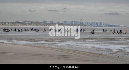 la pêche à pied professionnelle en baie de Somme Stockfoto