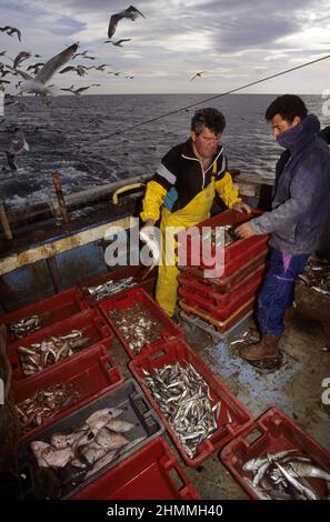 Trawler Fischerboot Frankreich mediterranea Meer Stockfoto