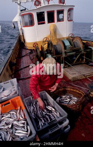 Trawler Fischerboot Frankreich mediterranea Meer Stockfoto