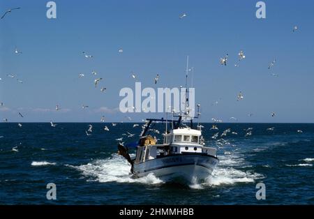 Trawler Fischerboot Frankreich mediterranea Meer Stockfoto