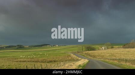 Hadrians Wall Country in der Nähe von Cawfields, Northumberland, Großbritannien Stockfoto