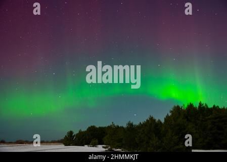 Intensive Nordlichter aurora borealis über Strand in Lettland Stockfoto