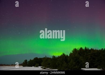 Intensive Nordlichter aurora borealis über Strand in Lettland Stockfoto