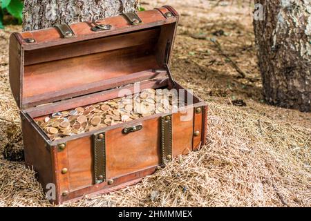 Verborgene Schatzkiste mit kostbarem Schatz Stockfoto