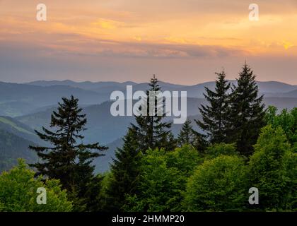 Blick über den Schwarzwald in Baden-Württemberg Stockfoto