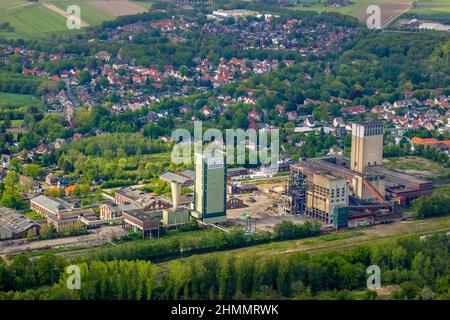 Luftaufnahme, ehemalige DSK-Kolonie Lippe, Egonstraße, Stadtgrenze zu Gelsenkirchen, Westerholt, Hassel, Gelsenkirchen, Ruhrgebiet, Nordrhein-Westfalen Stockfoto