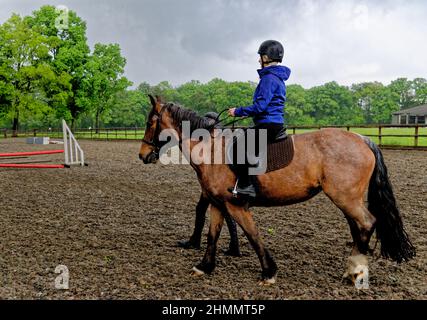 Mädchen mit ihrem ersten Reitunterricht bareback mit Helm und Ausbilder. Wellington Riding School, Hook, Vereinigtes Königreich. 11.05.2016 Stockfoto