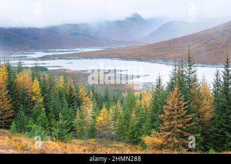 Herbststimmung in den schottischen Highlands, Großbritannien, Schottland, Glencoe Stockfoto