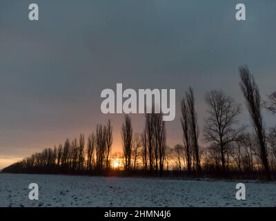 Orangefarbener Sonnenaufgang hinter hohen Bäumen an einem nebligen Morgen an einem kalten Wintertag im Spessart, Bayern, Deutschland Stockfoto