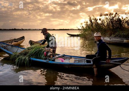 Son Tinh, Quang Ngai, Vietnam - 31. Dezember 2021: Älteres Paar, das Gras mit dem Boot trägt, um Vieh in Son Tinh, Quang Ngai, Vietnam, zu füttern Stockfoto