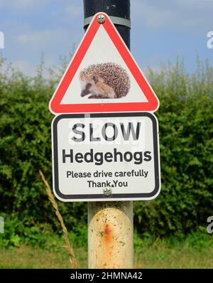 Igel (Erinaceinae) Warnschild für Fahrer im Dorf Coulton North Yorkshire Moors Vereinigtes Königreich Stockfoto