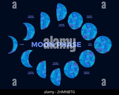 Mondphase. Strukturierte Oberfläche des Mondes. Mondphasen während des gesamten Zyklus. Crescent-Design. Astronomische Beobachtung des Erdsatelliten f Stock Vektor