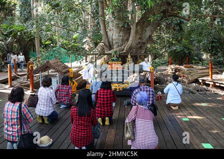 Udon Thani, Thailand. 08th. Februar 2022. Kham Chanod Forest eine schwimmende Matte im Ban Dung Bezirk, Provinz Udon Thani, Thailand am 8. Februar 2022. Sakraler Bereich der Buddhisten in der Legende der Nagaloka. Nach Covid-19-Präventionsmaßnahmen mit Voranmeldung und einer Begrenzung auf 3000 Besucher pro Tag zum Gottesdienst und Besuch geöffnet und müssen den Screening Point durch Nachweis von vollständigen 2 geimpften Testkits oder Tests mit Antigen-Testkits bestehen und keine Infektion festgestellt haben. (Foto: Adirach Toumlamoon/Pacific Press/Sipa USA) Quelle: SIPA USA/Alamy Live News Stockfoto