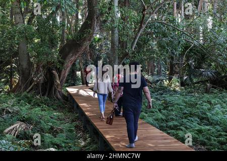 Udon Thani, Thailand. 08th. Februar 2022. Kham Chanod Forest eine schwimmende Matte im Ban Dung Bezirk, Provinz Udon Thani, Thailand am 8. Februar 2022. Sakraler Bereich der Buddhisten in der Legende der Nagaloka. Nach Covid-19-Präventionsmaßnahmen mit Voranmeldung und einer Begrenzung auf 3000 Besucher pro Tag zum Gottesdienst und Besuch geöffnet und müssen den Screening Point durch Nachweis von vollständigen 2 geimpften Testkits oder Tests mit Antigen-Testkits bestehen und keine Infektion festgestellt haben. (Foto: Adirach Toumlamoon/Pacific Press/Sipa USA) Quelle: SIPA USA/Alamy Live News Stockfoto