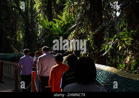 Udon Thani, Thailand. 08th. Februar 2022. Kham Chanod Forest eine schwimmende Matte im Ban Dung Bezirk, Provinz Udon Thani, Thailand am 8. Februar 2022. Sakraler Bereich der Buddhisten in der Legende der Nagaloka. Nach Covid-19-Präventionsmaßnahmen mit Voranmeldung und einer Begrenzung auf 3000 Besucher pro Tag zum Gottesdienst und Besuch geöffnet und müssen den Screening Point durch Nachweis von vollständigen 2 geimpften Testkits oder Tests mit Antigen-Testkits bestehen und keine Infektion festgestellt haben. (Foto: Adirach Toumlamoon/Pacific Press/Sipa USA) Quelle: SIPA USA/Alamy Live News Stockfoto