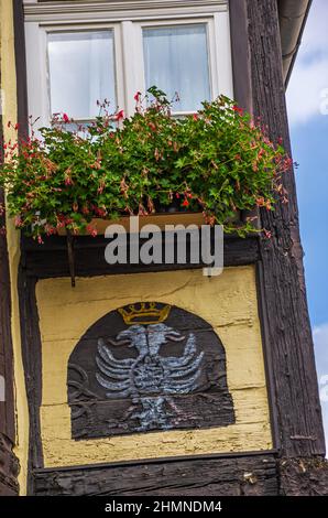 Rahmen mit geschnitztem und bemaltem Doppeladler auf einem historischen Fachwerkhaus in der Hohen Straße, Quedlinburg, Sachsen-Anhalt, Deutschland. Stockfoto