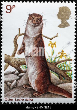 Europäischer Otter auf britischer Briefmarke Stockfoto