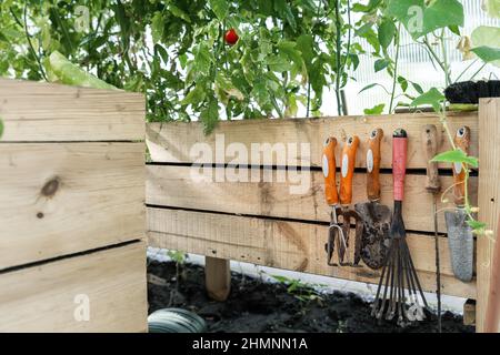 Set von Schmutz verwendet rostigen Gartengeräte hängen auf Holzbrett Hintergrund zu Hause Garten Gewächshaus Blumenbeet oder Gemüsebett an sonnigen Tag. Inland Stockfoto