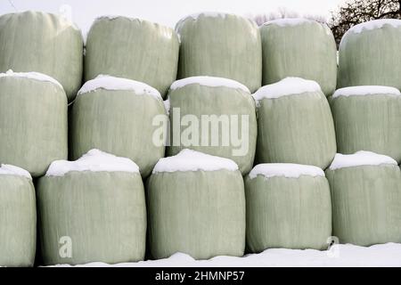 Gestapelte geschweißte Strohballen, die im Winter in Deutschland mit Schnee bedeckt sind Stockfoto