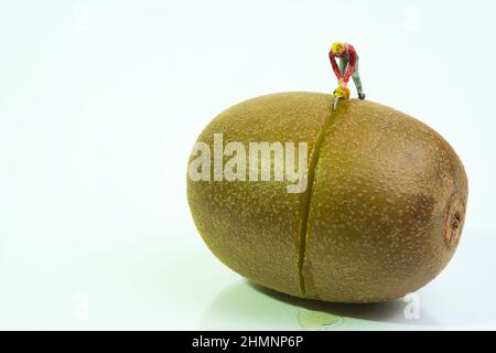 Ein Arbeiter mit einer Kettensäge steht auf einem Kiwi, um ihn offen, isoliert auf weißem Hintergrund zu sehen Stockfoto