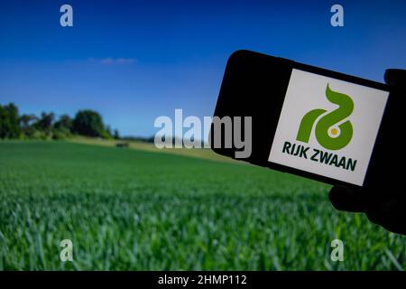 Rheinbach, Deutschland 21. Oktober 2021, das Markenlogo des Biotechnologieunternehmens 'Rijk Zwaan' auf dem Display eines Smartphones Stockfoto