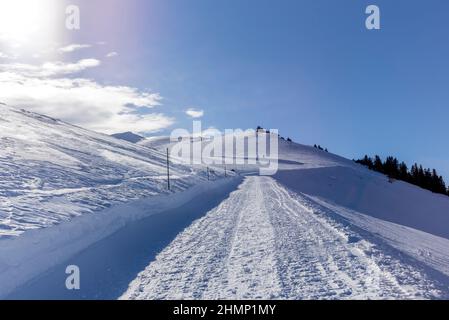 Menschen Skitouren in den Bergen und Wäldern oberhalb von Bruelisau in den Schweizer Alpen Stockfoto
