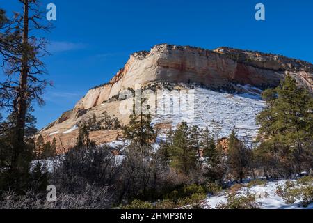 Klippen entlang des Zion-Mount Carmel Highway, Utah Highway 9, Winter, Zion National Park, Utah. Stockfoto