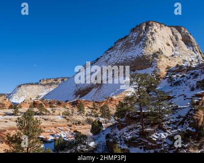 Klippen entlang des Zion-Mount Carmel Highway, Utah Highway 9, Winter, Zion National Park, Utah. Stockfoto