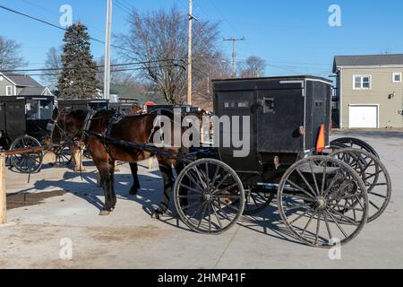 Amish, amish Buggys, geparkt, Innenstadt, Topeka, Indiana, USA, von James D. Coppinger/Dembinsky Photo Assoc Stockfoto