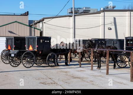 Amish, amish Buggys, geparkt, Innenstadt, Topeka, Indiana, USA, von James D. Coppinger/Dembinsky Photo Assoc Stockfoto