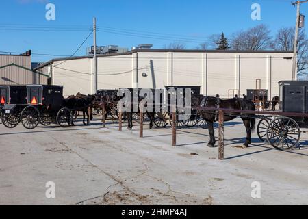 Amish, amish Buggys, geparkt, Innenstadt, Topeka, Indiana, USA, von James D. Coppinger/Dembinsky Photo Assoc Stockfoto