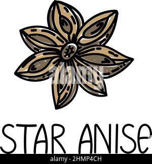 Sternanise, handgezeichnetes Doodle-Element. Logo und Emblem Verpackungsdesign-Vorlage - Gewürze und Kräuter - Anise. Logo. Stock Vektor