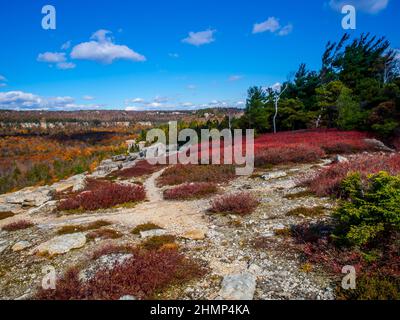 Herbstansicht der Shawanagunk Mountains, New Paltz, NJ USA. The Gunks. Stockfoto