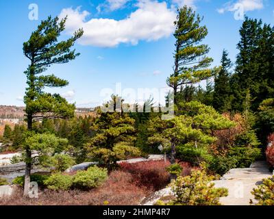 Herbstansicht der Shawanagunk Mountains, New Paltz, NJ USA. The Gunks. Stockfoto