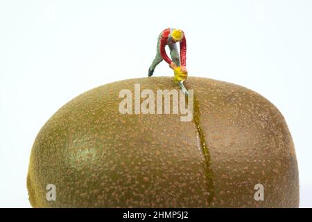 Ein Arbeiter steht auf einem Kiwi und teilt ihn mit einer Kettensäge aus der Nähe Stockfoto