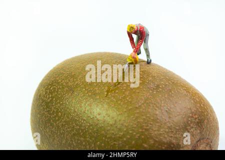 Ein Arbeiter mit einer Kettensäge steht auf einem braunen Kiwi, um ihn aufzuteilen und aufzuschneiden Stockfoto