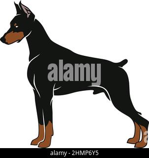 Einfacher Vektor des Dobermann Pinscher Hundes Stock Vektor