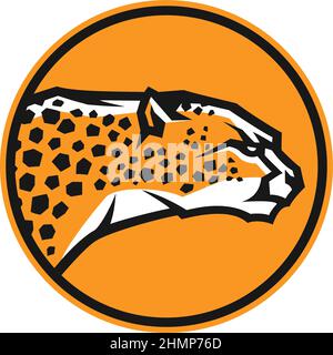 Edgy Design von Cheetah Round Logo Stock Vektor
