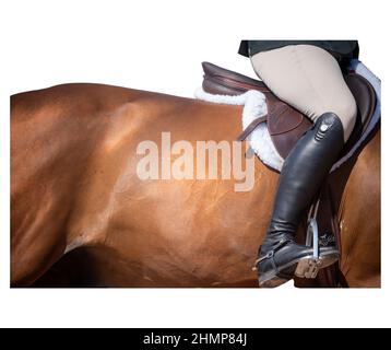 Die kodachrome-Kollektion von den Spowartholm Reitfotografen 2021 Stockfoto