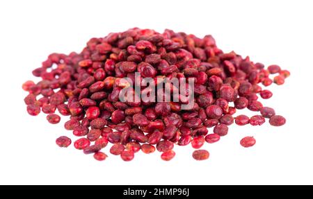 Sumac-Samen isoliert auf weißem Hintergrund. Ganze trockene Rhusbeere. Stockfoto