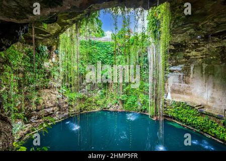 Ik-Kil Cenote, Mexiko. Schöne Cenote in Yucatan Peninsula mit transparentem Wasser und hängenden Wurzeln. Chichen Itza, Mittelamerika. Stockfoto