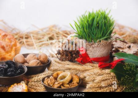 Orthodoxe Weihnachtstraditionen. Yule log oder Badnjak, grüner Weizen und traditionelle Speisen am orthodoxen Heiligabend. Nahaufnahme, Kopierbereich Stockfoto