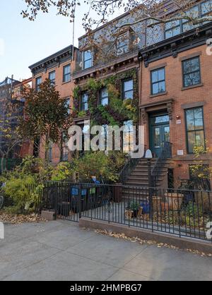 Reihe von roten Backsteinhäusern, Mauer aus Brownstone, bedeckt mit grünem Efeu und Pflanzen in Brooklyn, NY Stockfoto