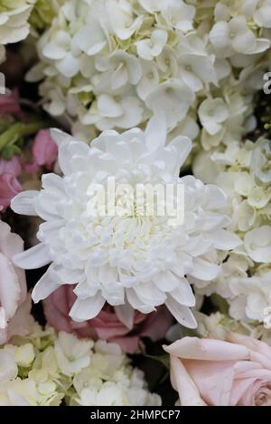 Blumenarrangements mit einem dicht gepackten Strauß rosa und cremefarbener Blumen bei der Northwest Flower and Garden Show in Seattle, Washington. Stockfoto