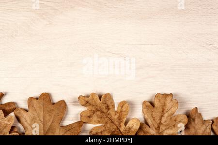 Laub aus Herbsteiche Blätter auf einem hölzernen Hintergrund Stockfoto